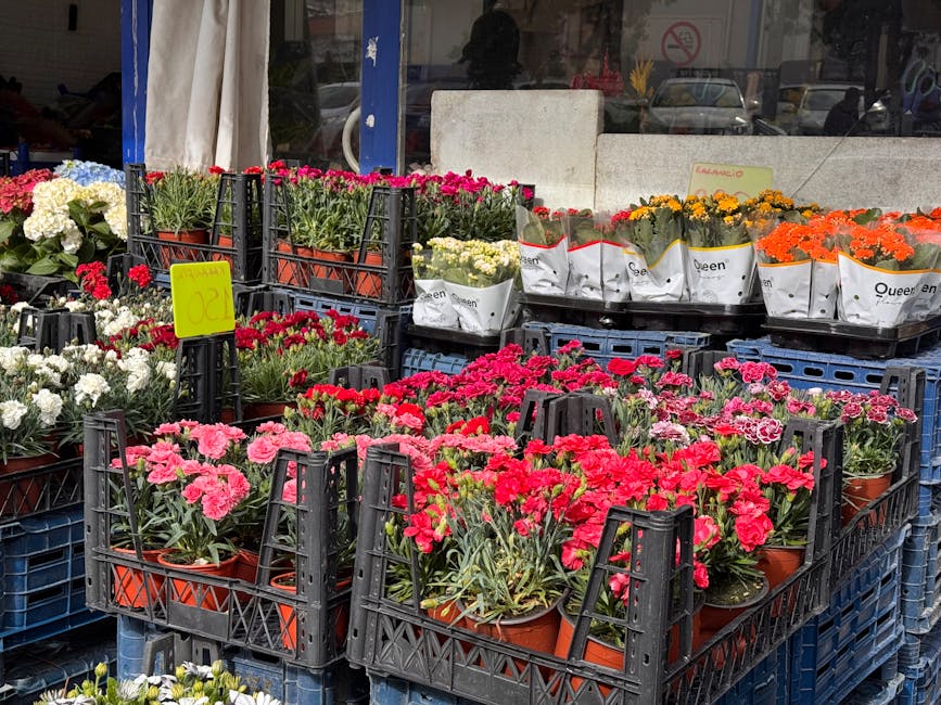 An outdoor display of various potted flowering plants arranged in black plastic crates at a flower shop. The flowers include pink and red carnations, white, yellow, and orange marigolds, and other col