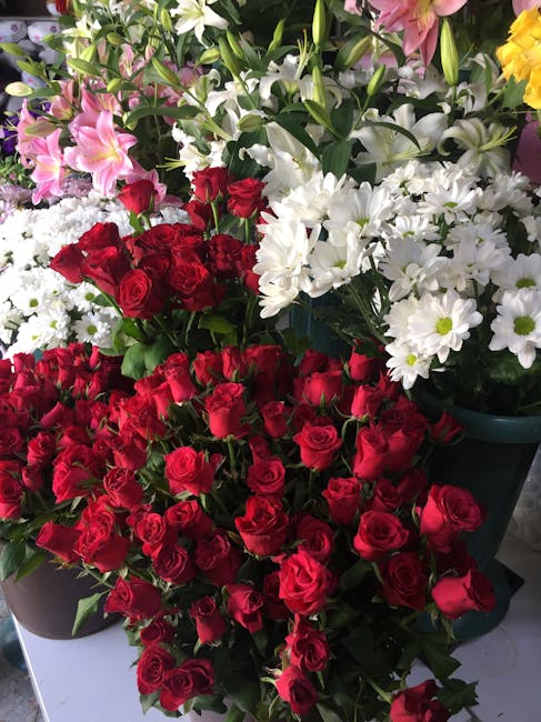 A vibrant display of fresh flowers featuring multiple bouquets and arrangements. In the foreground, there are lush red roses with tightly packed blooms and deep green stems and leaves, arranged in a b